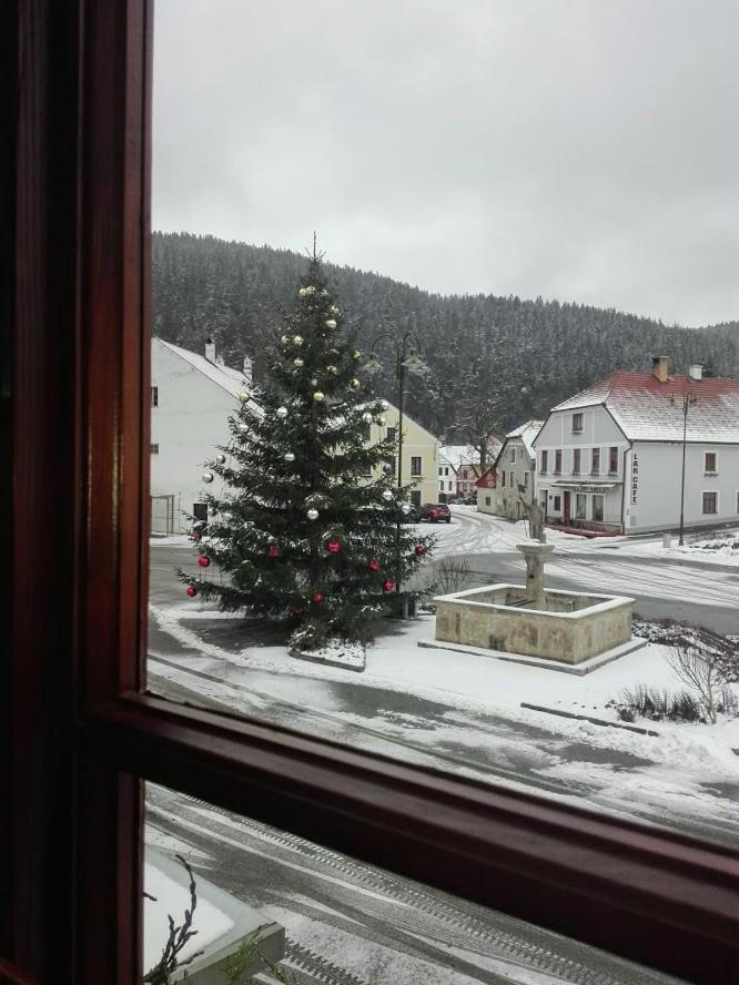 Hotel u Martina - Kocábka Rozmberk Nad Vltavou Bagian luar foto